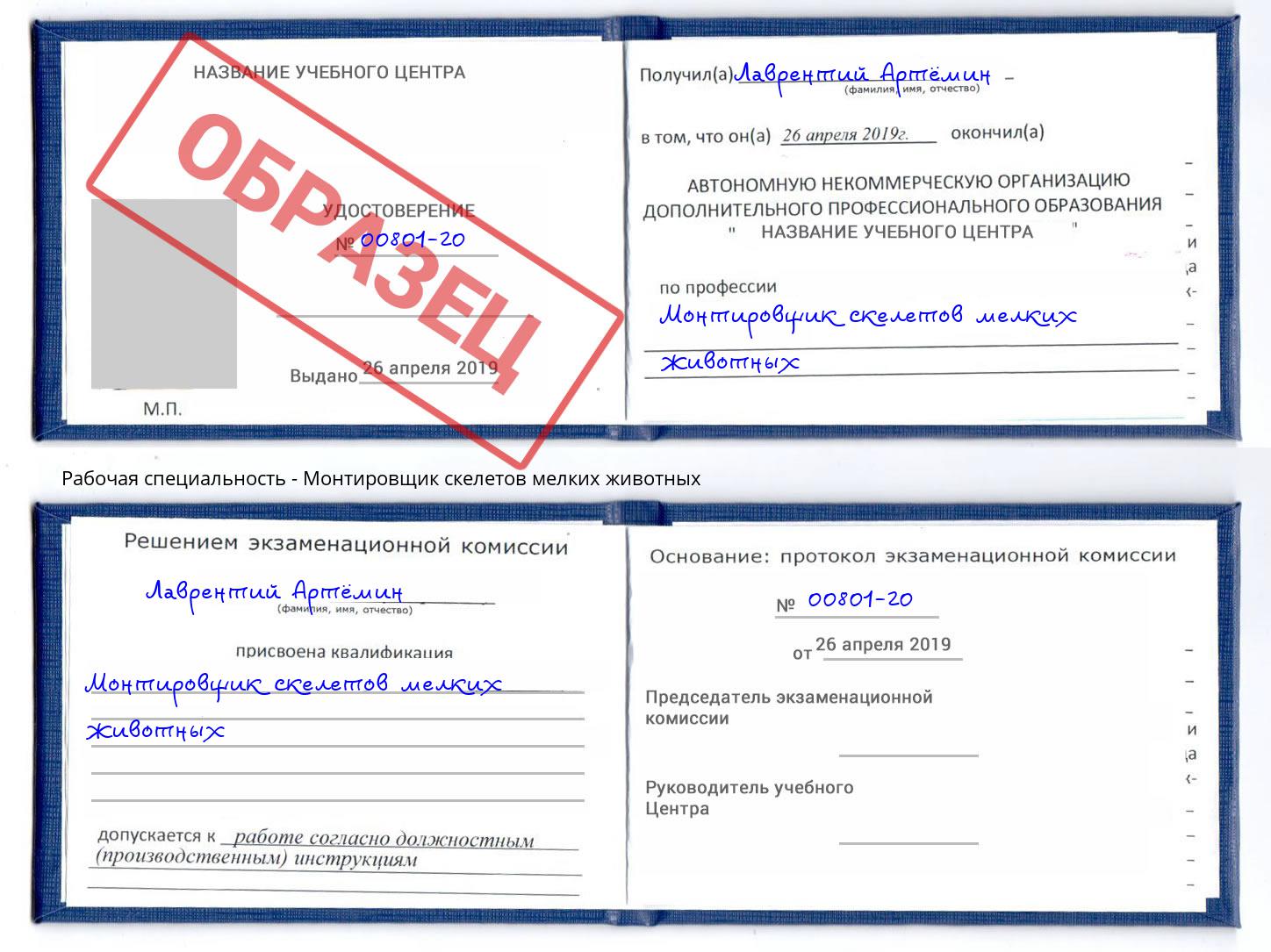 Монтировщик скелетов мелких животных Волгодонск