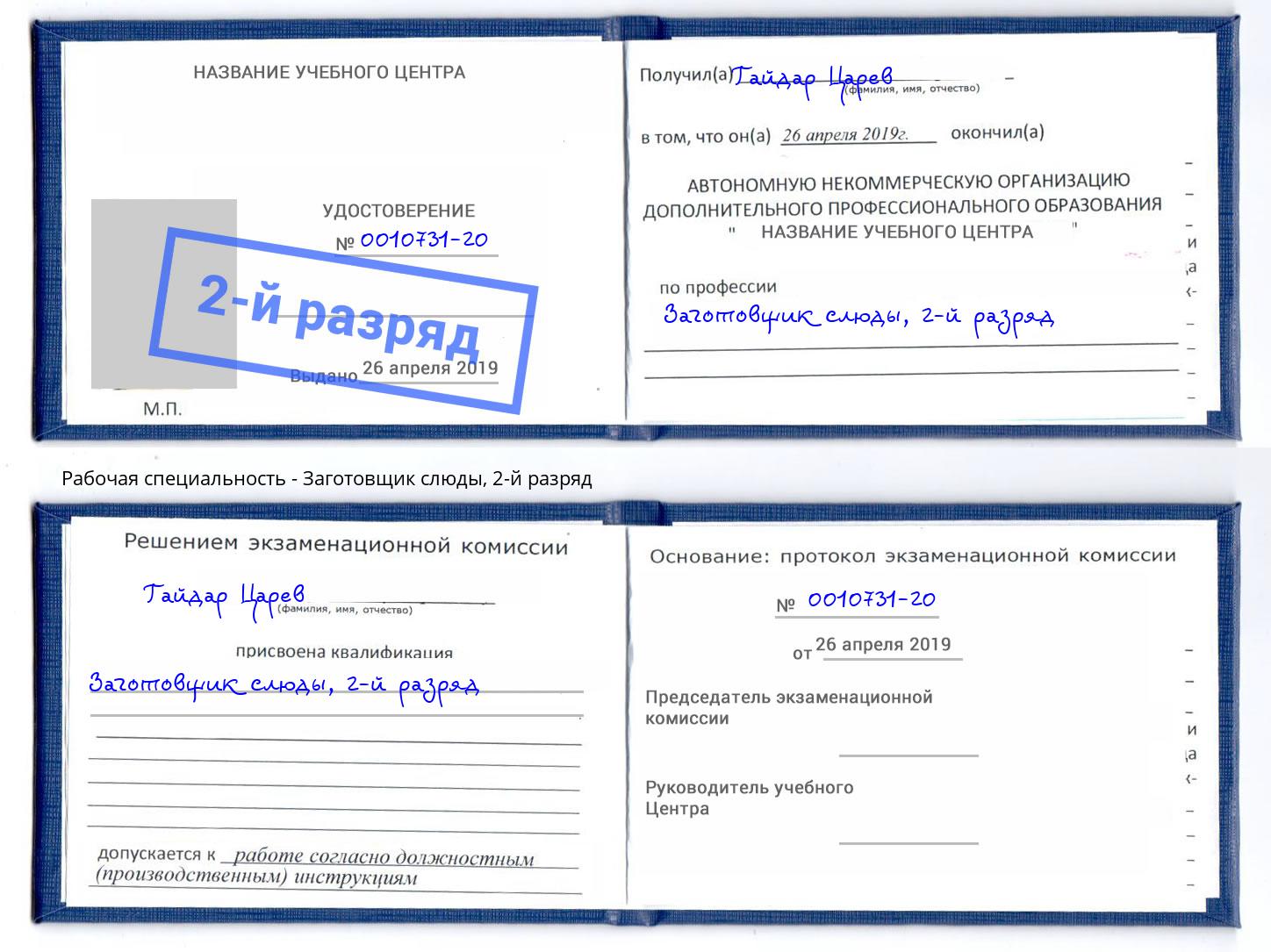 корочка 2-й разряд Заготовщик слюды Волгодонск