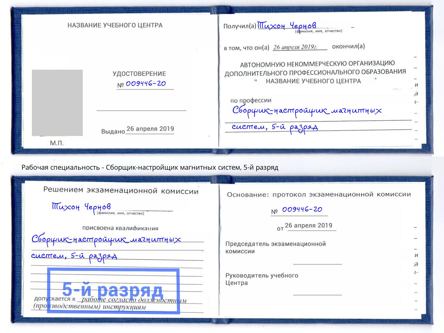 корочка 5-й разряд Сборщик-настройщик магнитных систем Волгодонск